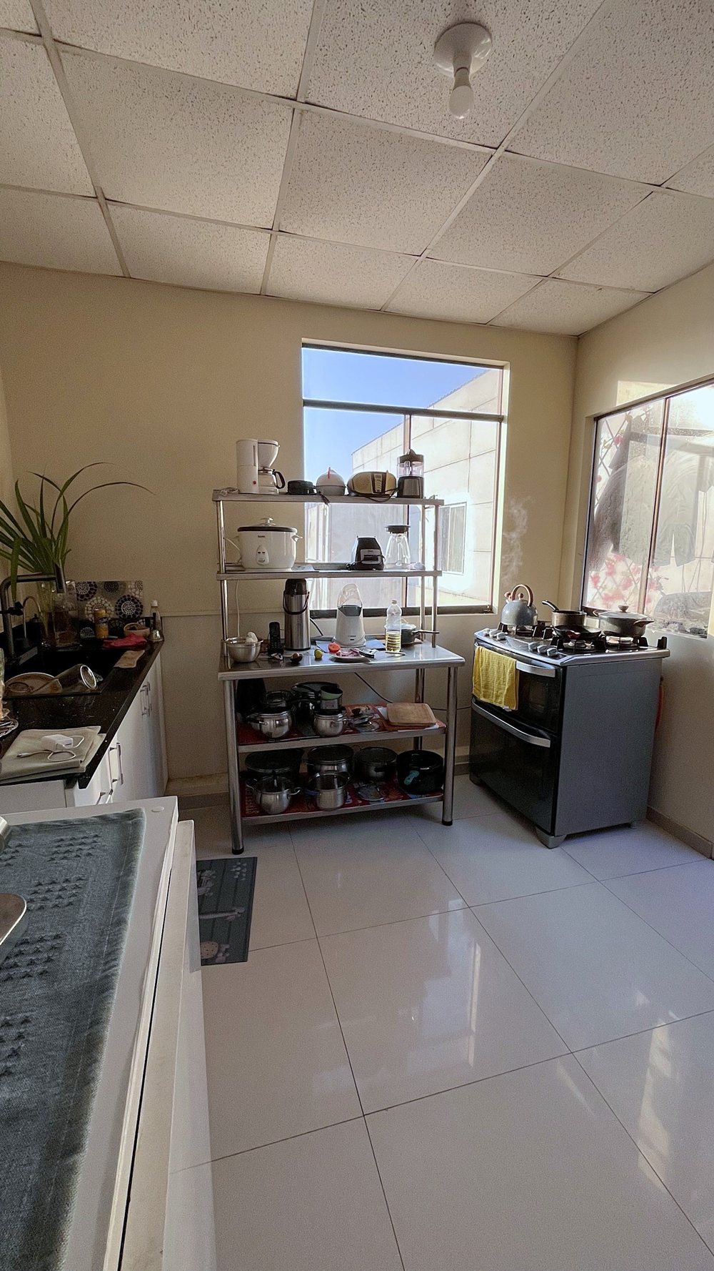 Cocina con cocina a gas, estante de acero y ventanas
